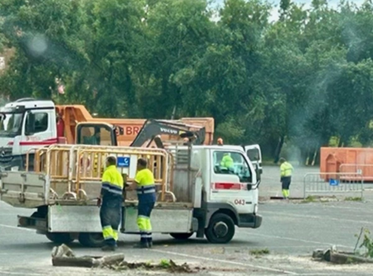 Ecologistas en Acción asegura que la alcaldesa de Calahorra  no tenía permiso ni lo tiene para talar 33 acacias 