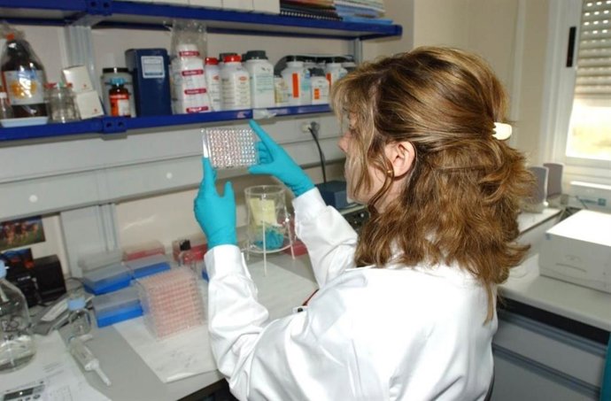 Se trata del primer foco de 'influenza aviar' detectado en aves silvestres en Extremadura en 2025