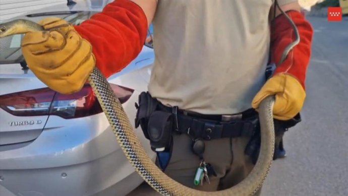 Vídeo de la noticia