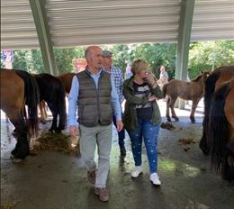 El diputado regional del PP de Asturias, Luis Venta, junto a la portavoz municipal en Quirós, Natividad Fernández, en el  II Concurso Exposición de Ganado Caballar.