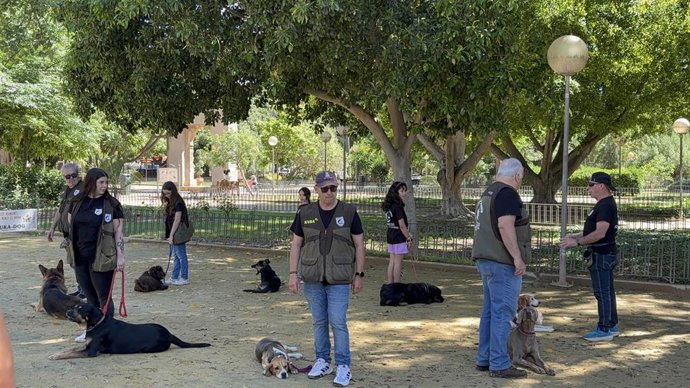 Un momento de la exhibición canina