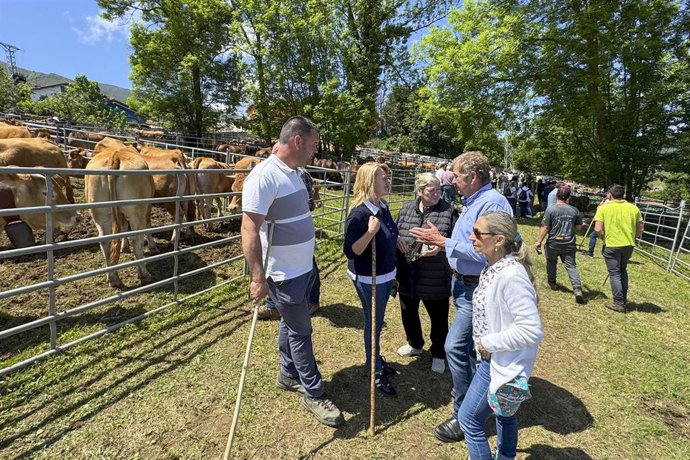 Unas 500 reses de 30 ganaderías cántabras se dan cita en la Feria de las Flores de Valdáliga
