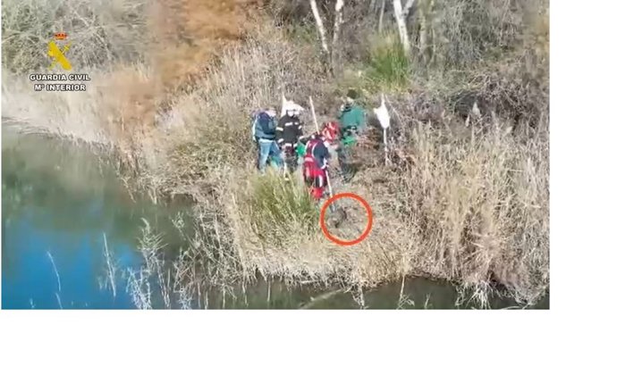 Vídeo de la noticia