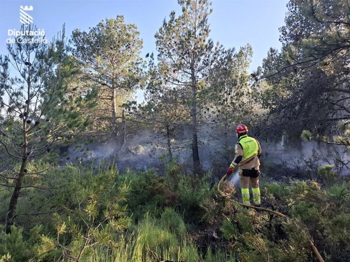 Incendio forestal en Benafer, en la zona monte Zurita