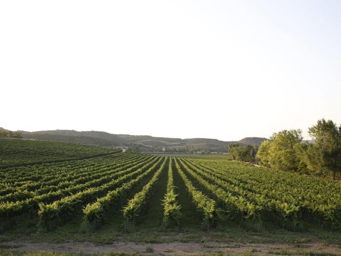 Las ayudas al asesoramiento agrario ascienden a un importe de 1.367.720 euros.