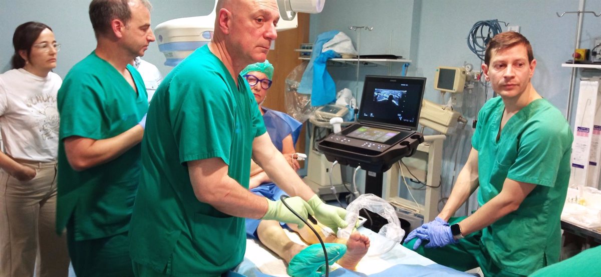 Expertos nacionales e internacionales han participado en un curso sobre crioneurolisis en Hospital Viamed Los Manzanos