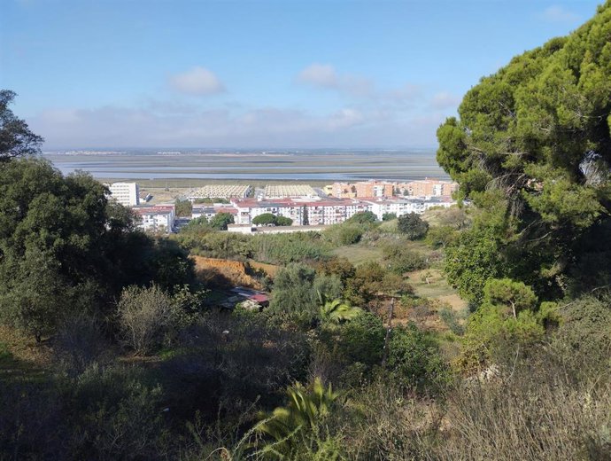Archivo - Imagen área de Huelva.