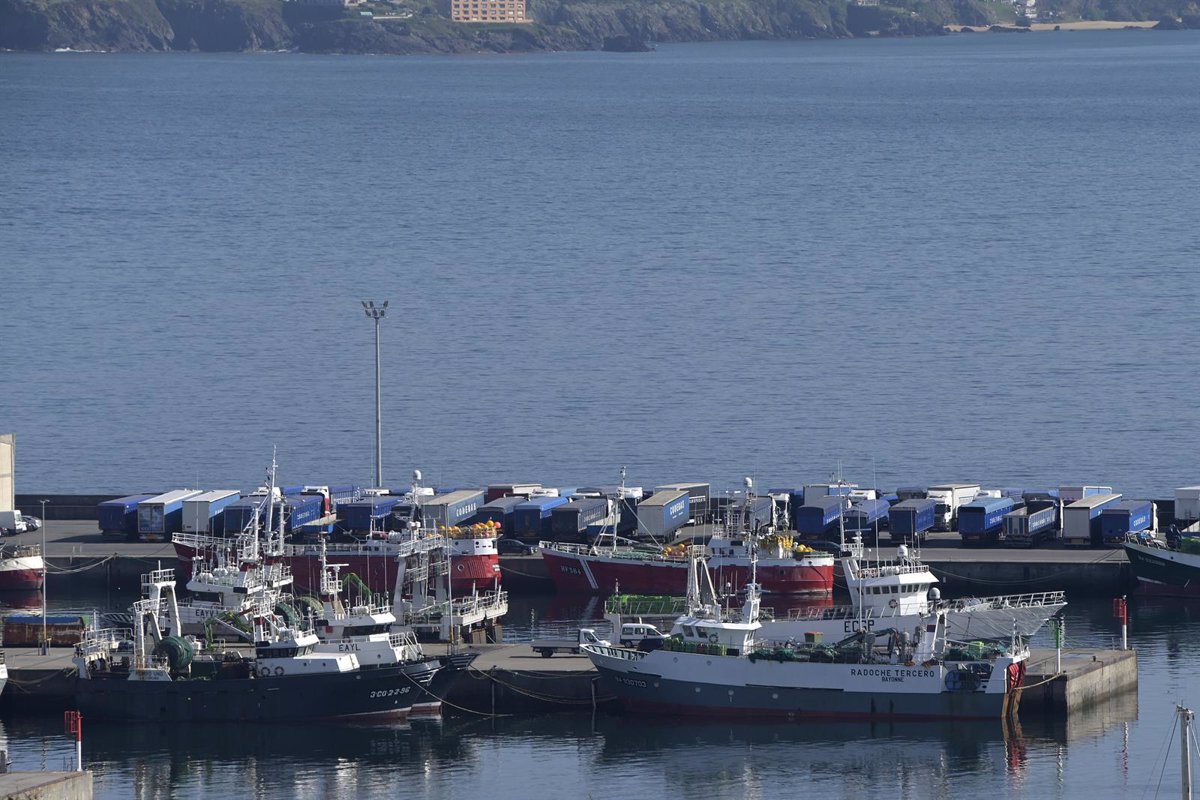 El 87% de españoles quiere que el Gobierno asigne más cuotas a los pescadores de pequeña escala, según Oceana El 87% de españoles quiere que el Gobierno asigne más cuotas a los pescadores de pequeña escala, según Oceana