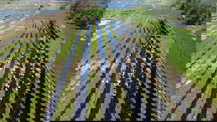 Solaria firma un acuerdo con el Banco Sabadell para financiar 175 MW por hasta 93,5 millones