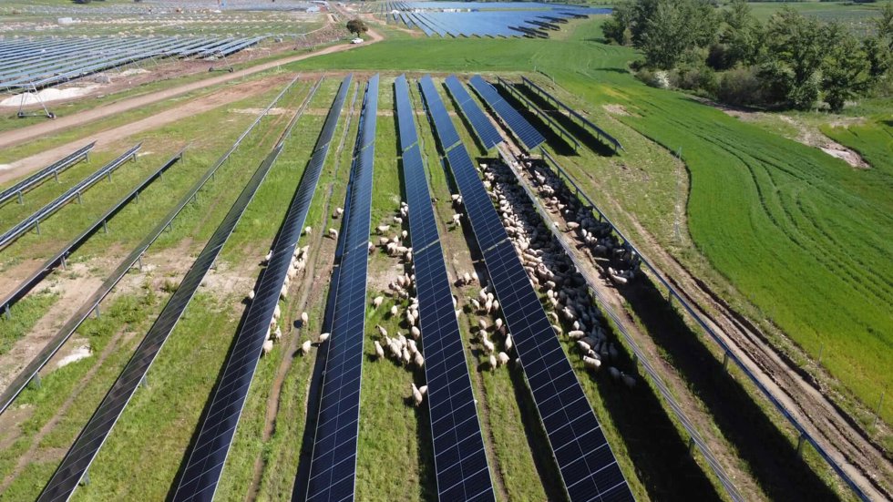 Solaria firma un acuerdo con el Banco Sabadell para financiar 175 MW por hasta 93,5 millones