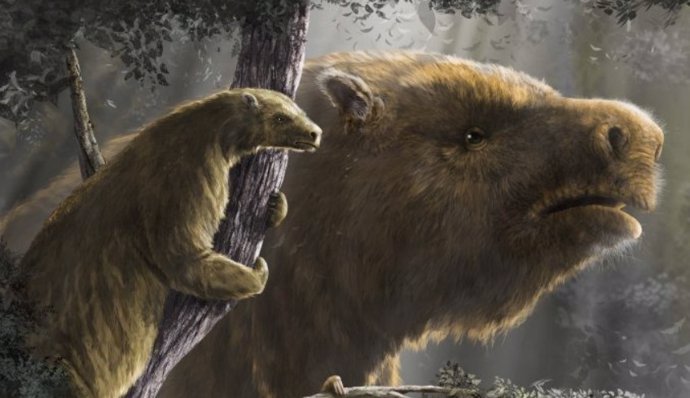 Los perezosos evolucionaron repetidamente hacia tamaños corporales grandes y pequeños según sus hábitos de vida terrestres y arborícolas