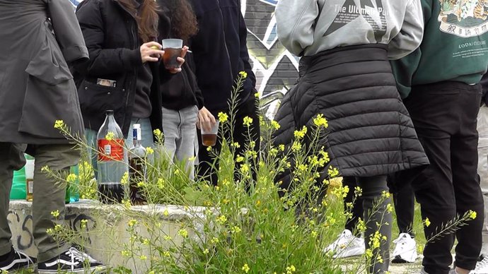 Asociación DUAL alerta de que los menores tienden a imitar el patrón de consumo de alcohol de sus progenitores