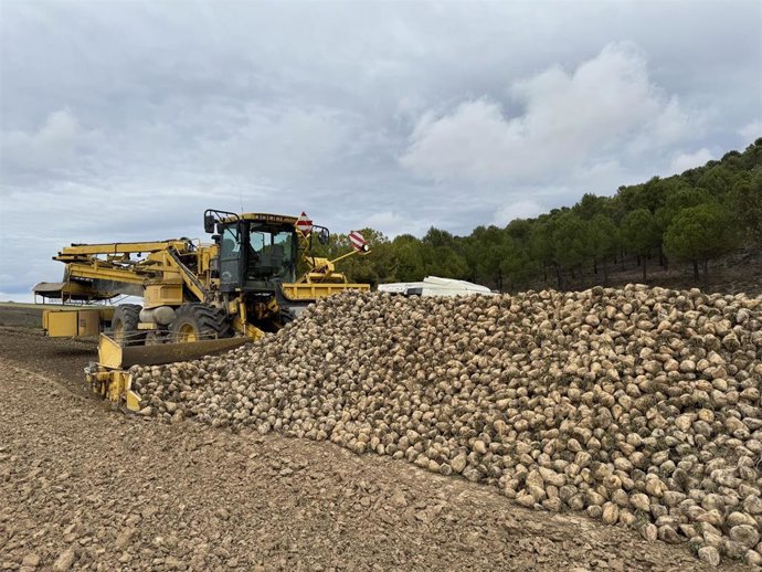 Archivo - Cargador de Remolacha. Archivo