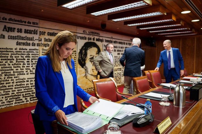 La exgerente de Desarrollo Rural y Política Forestal de Tragsatec, Caridad Martín Palacios, en su comparecencia en la comisión de investigación sobre el caso Koldo en el Senado.