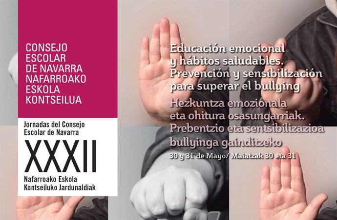 El Consejo Escolar de Navarra reflexionará sobre bullying en unas jornadas los días 30 y 31 de mayo.