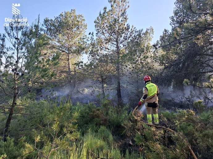 Incendi forestal a Benafer, en la zona Zurita