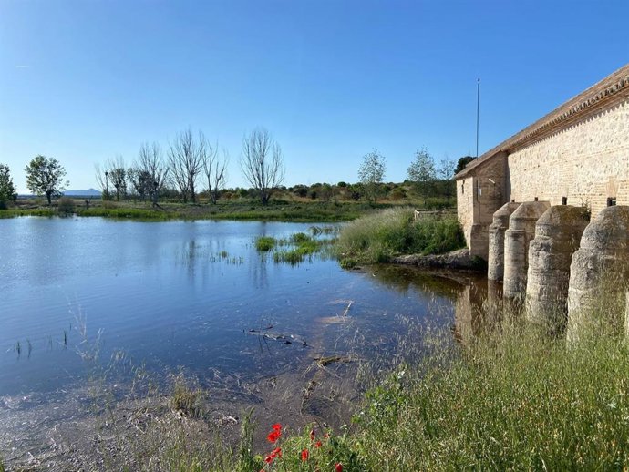 Las Tablas de Daimiel.