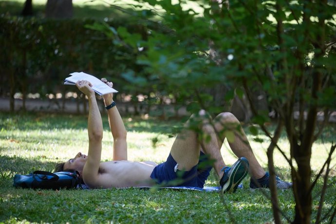 Archivo - Un hombre lee un libro en el parque de El Retiro durante una segunda ola de calor, a 23 de julio de 2024, en Madrid (España). 