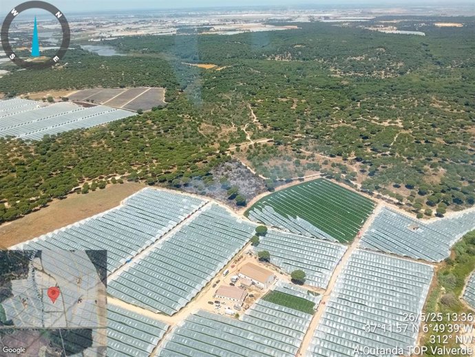 Zona del incendio del paraje La Malvina de Moguer (Huelva).