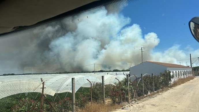 Imagen del incendio del paraje La Malvina de Moguer (Huelva).