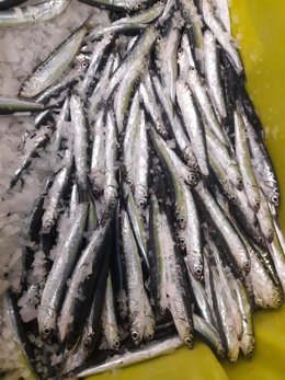 Archivo - Bocartes de los que se elabora la anchoa