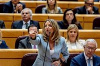 El PP busca diluir en el Senado la reforma para disolver asociaciones franquistas al considerarla "inconstitucional"