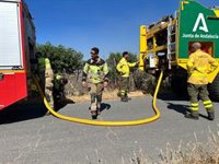 El Ayuntamiento de Moguer (Huelva) apunta a que el incendio forestal de La Malvina podría ser provocado