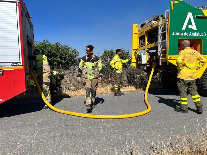 Imagen de los efectivos del Plan Infoca y el Consorcio Provincial de Bomberos de Huelva desplazados a la zona del incendio forestal de Moguer (Huelva) de este lunes.