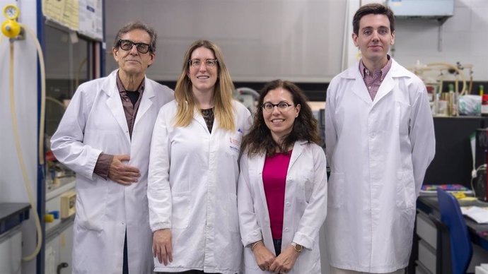 Grupo de investigación