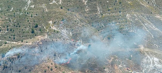 Incendio forestal en Berja (Almería).