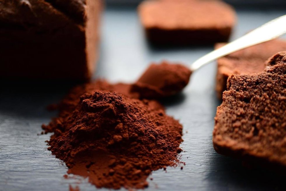 Imagen de recurso de cacao