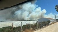 El incendio en el paraje La Malvina de Moguer (Huelva) tuvo ocho focos y ha quemado 20 hectáreas de masa forestal