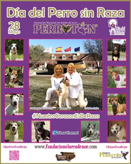 Ainhoa Arteta y Alejandra Botto abanderan la campaña de Perrotón para visibilizar perros sin raza y promover adopciones.