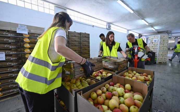 Campaña 'Ningún hogar sin alimentos'
