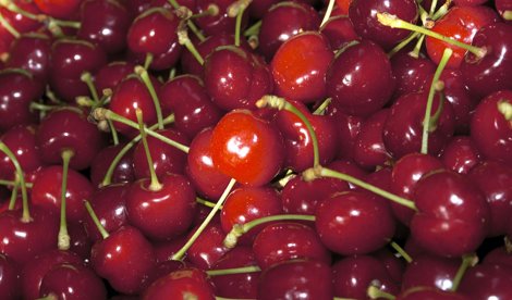 Comunicados Sociedad