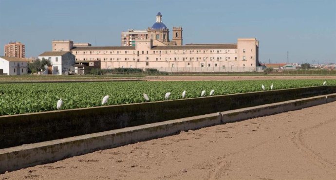Archivo - Entorn de Sant Miquel dels Reis, seu de l'AVL