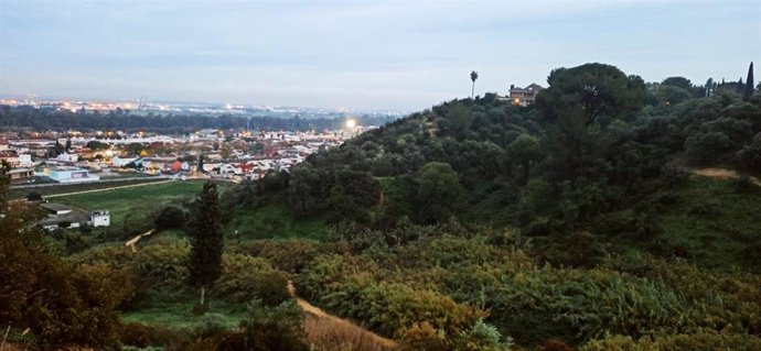 Imagen de un sector de la ladera de Simón Verde