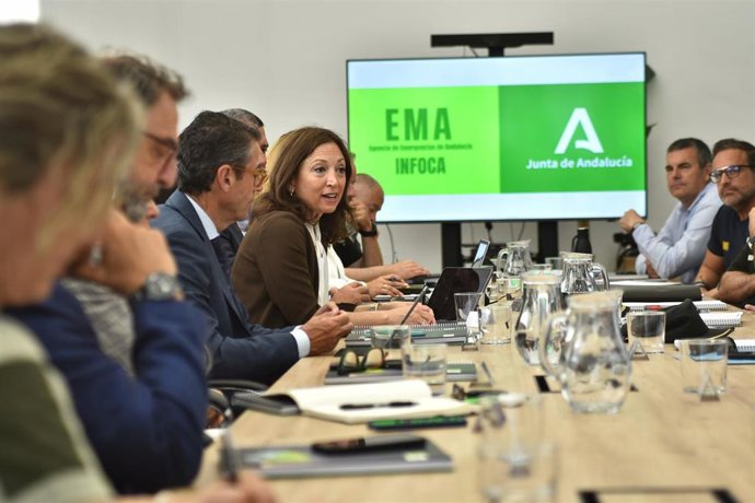 La delegada del Gobierno andaluz en Málaga, Patricia Navarro, ha presidido este martes el Comité Asesor Provincial del Plan Infoca.