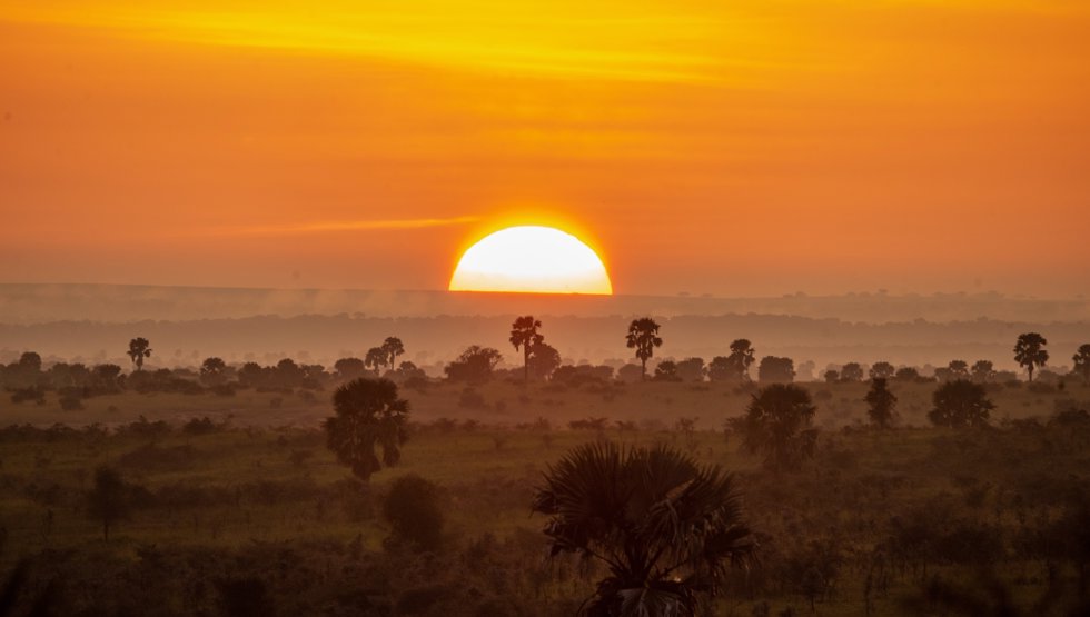 Archivo - Uganda salvaje: 10 parques nacionales donde África revela su alma más pura