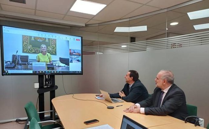 La alcaldesa de Jerez, María José García-Pelayo, en una reunión telemática con el director general del Sector Ferroviario, Carlos Juárez.