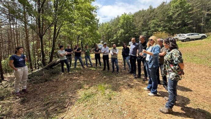 Empiezan un proyecto forestal de adaptación al cambio climático en el Solsonès (Lleida)