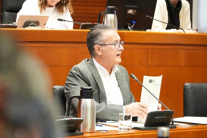 El DG de Mayores ha comparecido este martes en la comisión de Bienestar Social y Familia de las Cortes de Aragón.