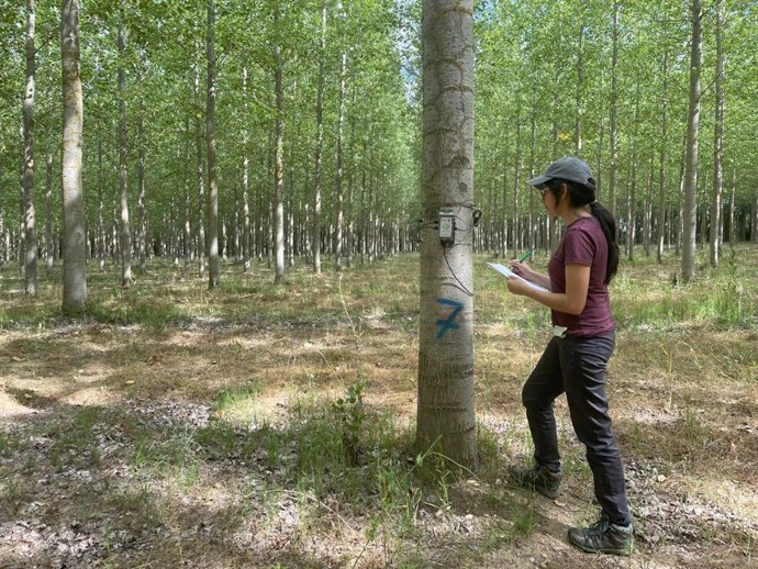 Erika García Lima, distinguida con el accésit al mejor Trabajo Fin de Máster (TFM) en la convocatoria de los Premios Universitarios 2024 de la Sociedad Española de Ciencias Forestales.