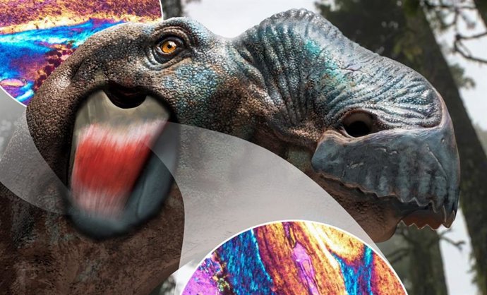 Uma visualização do tecido mole de um dinossauro.
