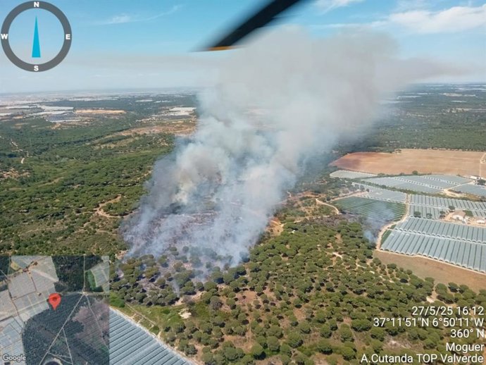 Incendio declarado en el paraje la Cruz del Arpa de Moguer (Huelva).