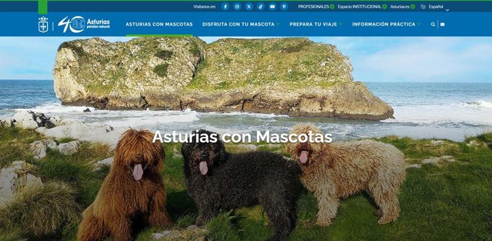 Portal www.Asturiasconmascotas.Com.
