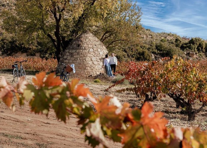 El enoturismo en Rioja continúa al alza y la DOCa consolidó su liderazgo en los mercados del vino en 2024