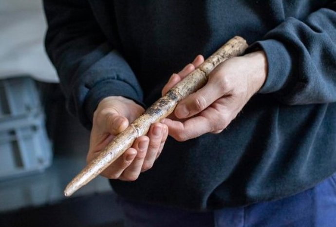 Uma grande ponta de projétil feita de osso de baleia cinza do abrigo rochoso de Duruthy, Landes, França, datada entre 18.000 e 17.500 anos atrás.