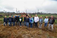El Cabildo de Tenerife transforma 22.000 metros cúbicos de madera calcinada en recurso agrícola