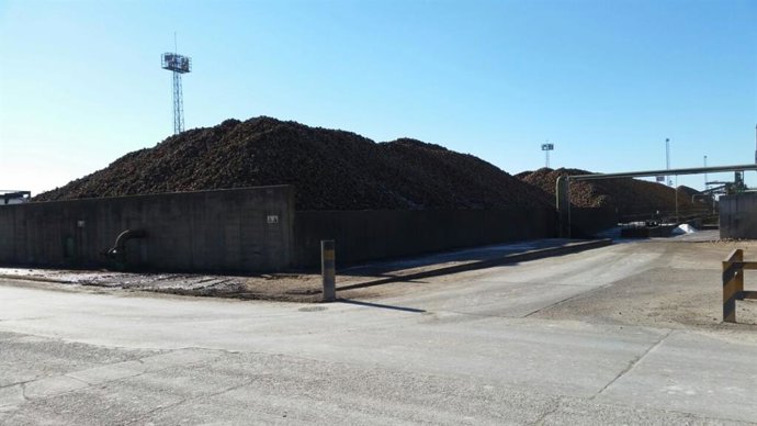 Archivo - Concentración de remolacha en una planta azucarera.